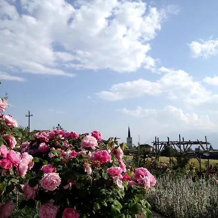 Blumen Bel